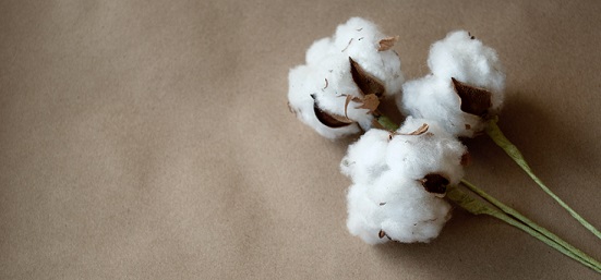 cotton-best-wallpaper-1.jpg